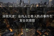 深夜风波：业内人士卷入热点事件引发全民愤怒