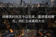 网曝黑料社区今日丑闻，震撼真相曝光，网红丑闻真相大白