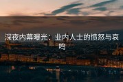 深夜内幕曝光：业内人士的愤怒与哀鸣