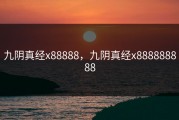 九阴真经x88888，九阴真经x888888888
