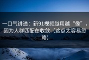 一口气讲透：新91视频越用越“像”，因为人群匹配在收敛（这点太容易忽略）