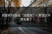 把蜜桃TV当成“选题库”：复盘这样用太香了