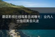蘑菇影视在线观看丑闻曝光：业内人士惊现黄昏风波