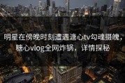 明星在傍晚时刻遭遇溏心tv勾魂摄魄，糖心vlog全网炸锅，详情探秘