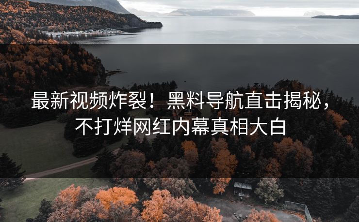 最新视频炸裂！黑料导航直击揭秘，不打烊网红内幕真相大白