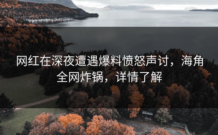 网红在深夜遭遇爆料愤怒声讨，海角全网炸锅，详情了解