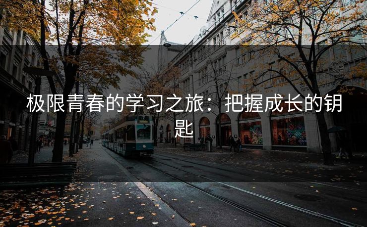 极限青春的学习之旅：把握成长的钥匙