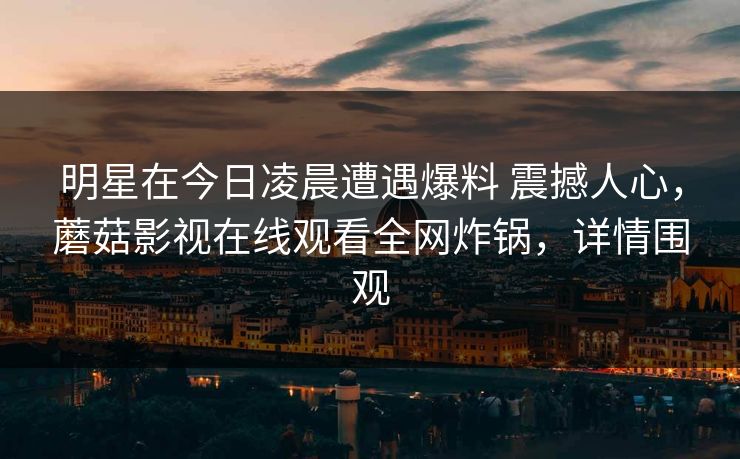 明星在今日凌晨遭遇爆料 震撼人心，蘑菇影视在线观看全网炸锅，详情围观