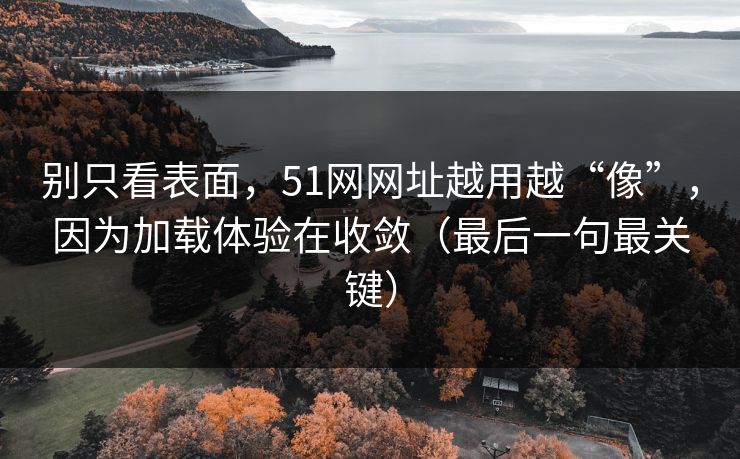别只看表面，51网网址越用越“像”，因为加载体验在收敛（最后一句最关键）